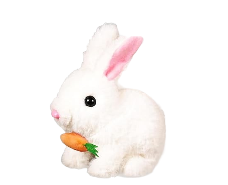 6863d00a5cbe21751371786.png